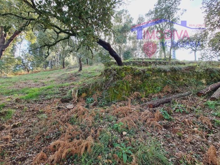 Image No.12-Terrain à vendre à Figueiró dos Vinhos