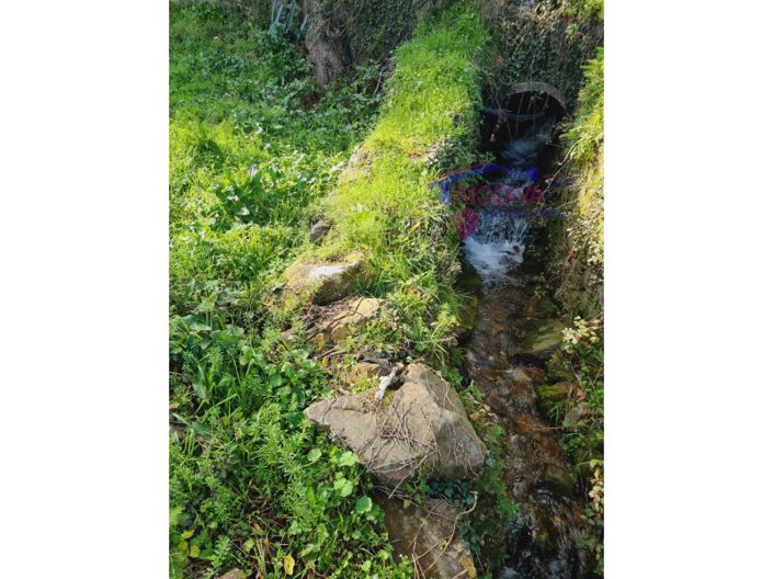 Image No.13-Terrain à vendre à Figueiró dos Vinhos