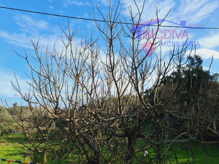 Image No.14-Terrain à vendre à Figueiró dos Vinhos