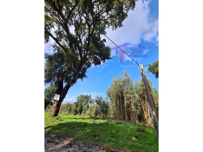 Image No.15-Terrain à vendre à Figueiró dos Vinhos