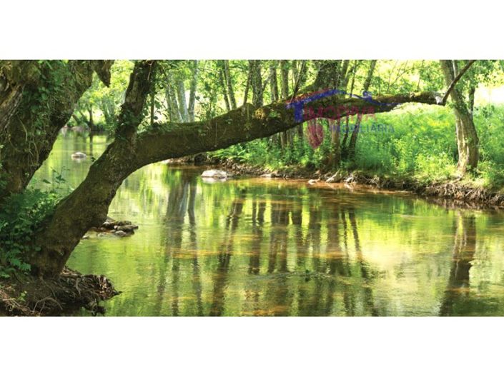 Image No.18-Terrain à vendre à Figueiró dos Vinhos