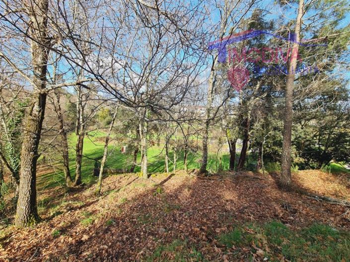 Image No.5-Terrain à vendre à Figueiró dos Vinhos