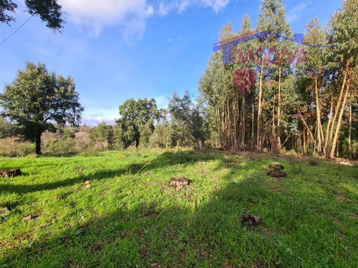 Image No.4-Terrain à vendre à Figueiró dos Vinhos