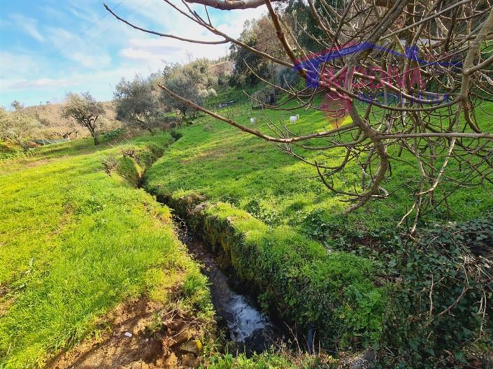 Image No.2-Terrain à vendre à Figueiró dos Vinhos