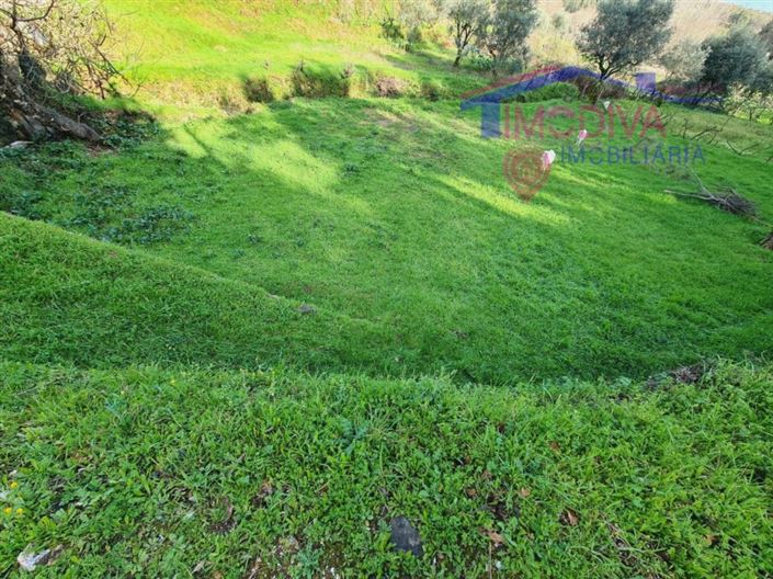 Image No.3-Terrain à vendre à Figueiró dos Vinhos