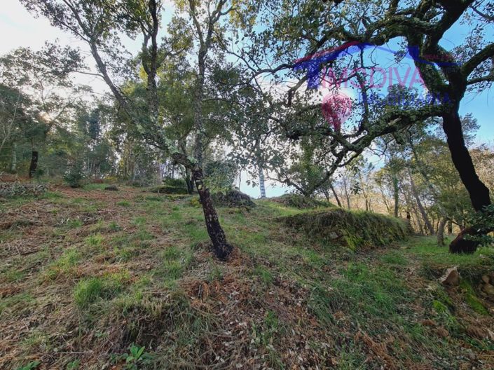 Image No.6-Terrain à vendre à Figueiró dos Vinhos