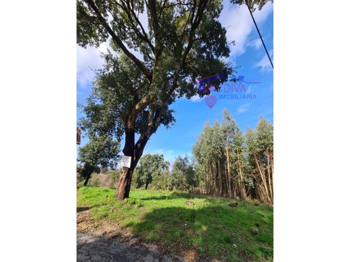 Image No.9-Terrain à vendre à Figueiró dos Vinhos