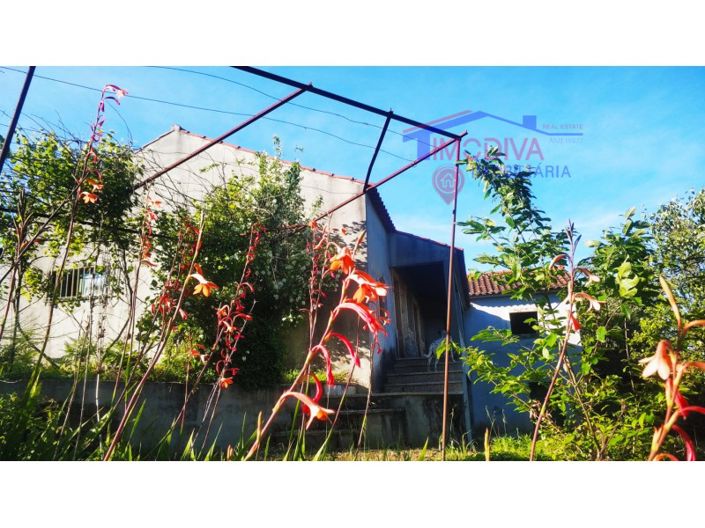 Image No.23-Ferme de 2 chambres à vendre à Pedrógão Grande