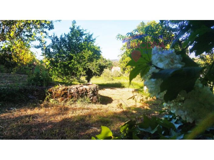 Image No.25-Ferme de 2 chambres à vendre à Pedrógão Grande