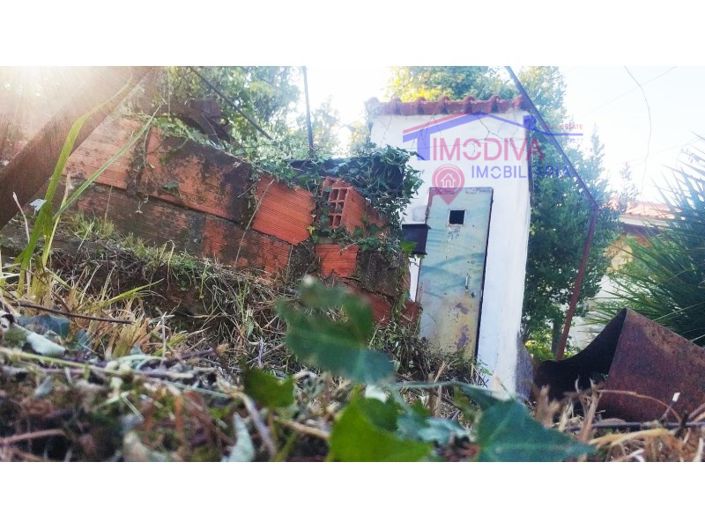 Image No.29-Ferme de 2 chambres à vendre à Pedrógão Grande