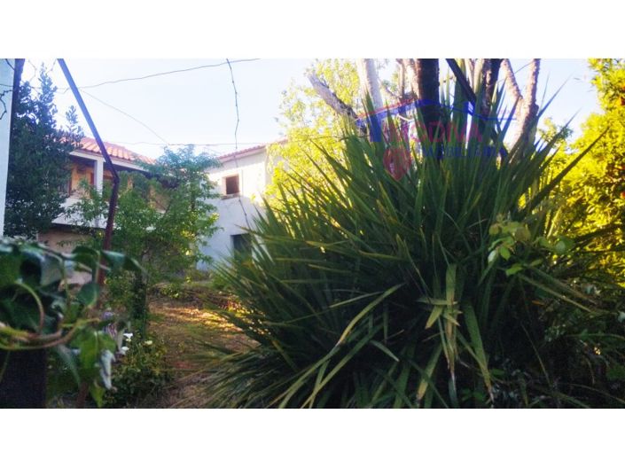 Image No.31-Ferme de 2 chambres à vendre à Pedrógão Grande