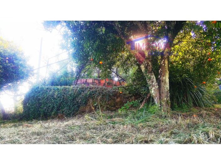 Image No.32-Ferme de 2 chambres à vendre à Pedrógão Grande