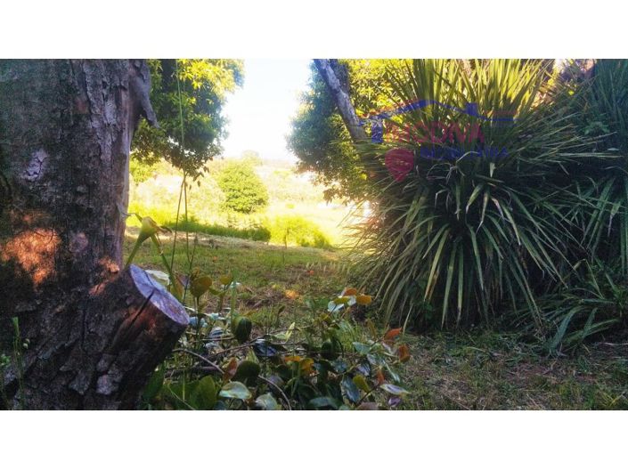 Image No.34-Ferme de 2 chambres à vendre à Pedrógão Grande