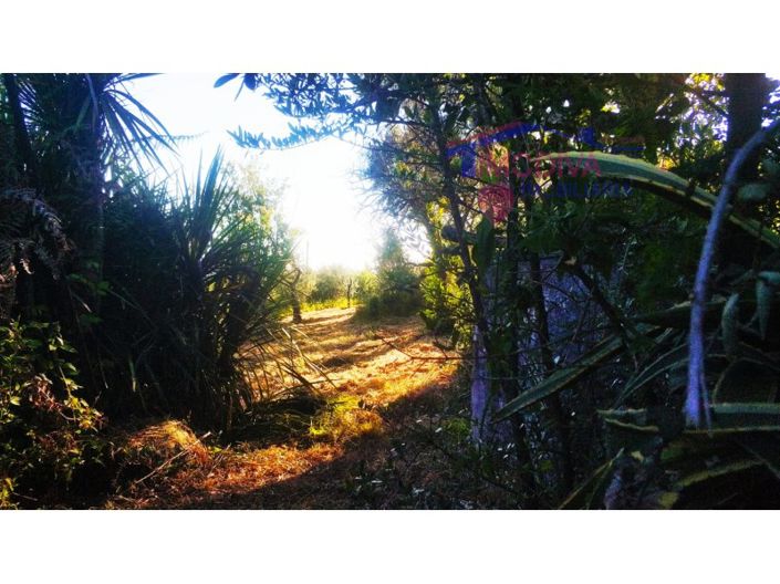 Image No.35-Ferme de 2 chambres à vendre à Pedrógão Grande