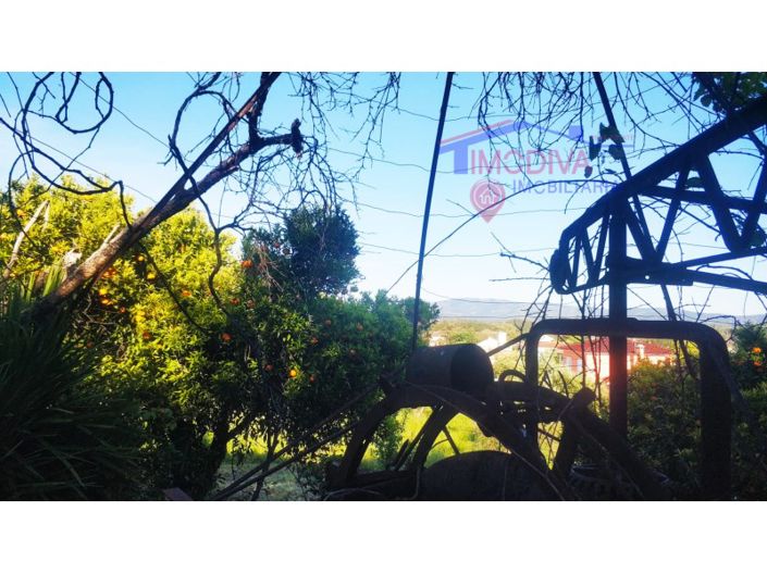 Image No.36-Ferme de 2 chambres à vendre à Pedrógão Grande