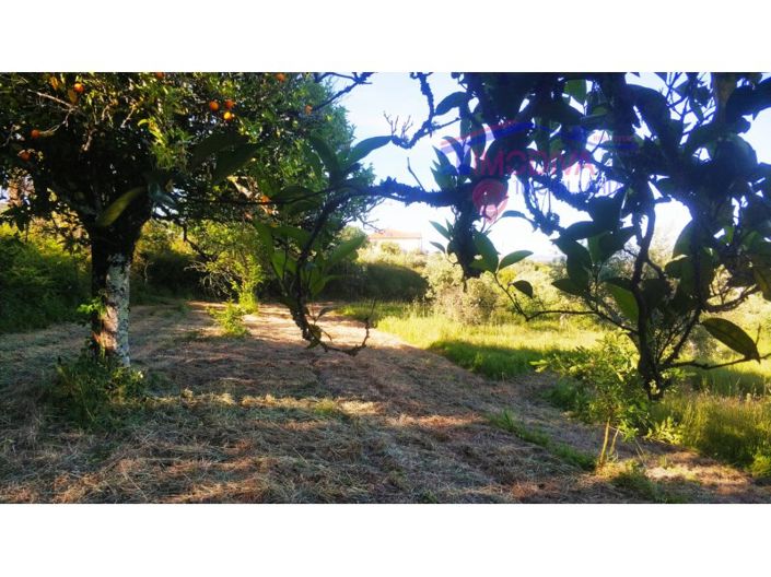 Image No.37-Ferme de 2 chambres à vendre à Pedrógão Grande