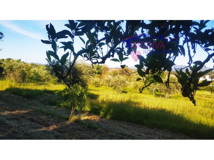 Image No.38-Ferme de 2 chambres à vendre à Pedrógão Grande