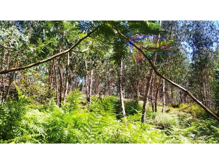 Image No.11-Terrain à vendre à Góis