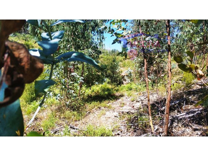 Image No.12-Terrain à vendre à Góis