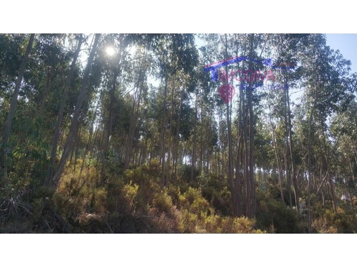 Image No.3-Terrain à vendre à Góis