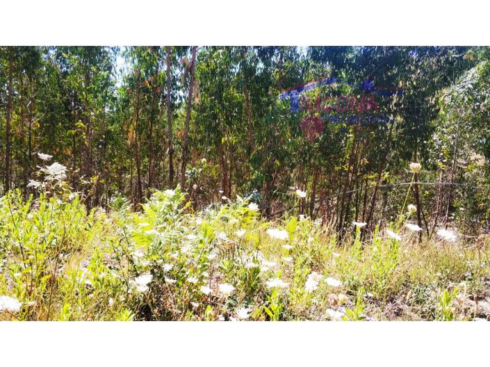 Image No.9-Terrain à vendre à Góis