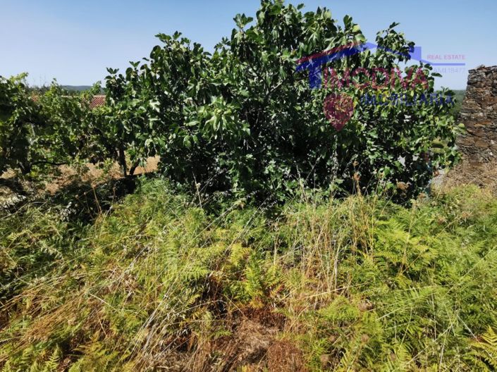 Image No.10-Plot for sale