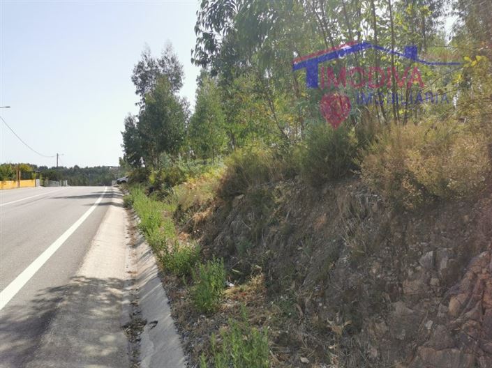 Image No.3-Plot for sale