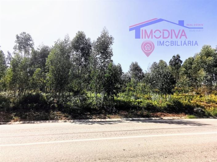 Image No.6-Plot for sale