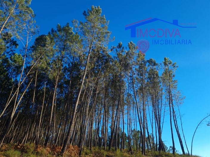 Image No.14-Plot for sale