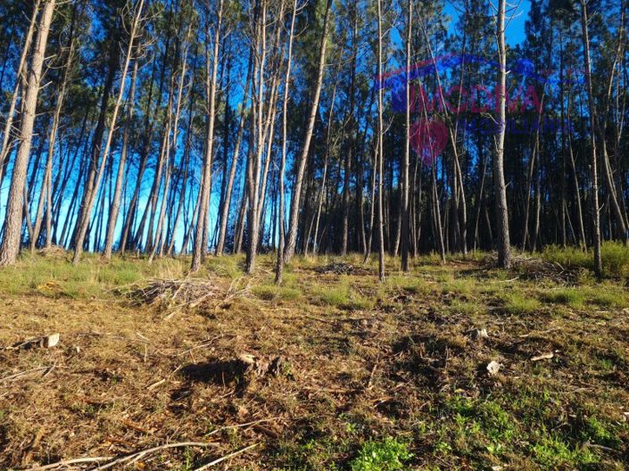 Image No.12-Plot for sale