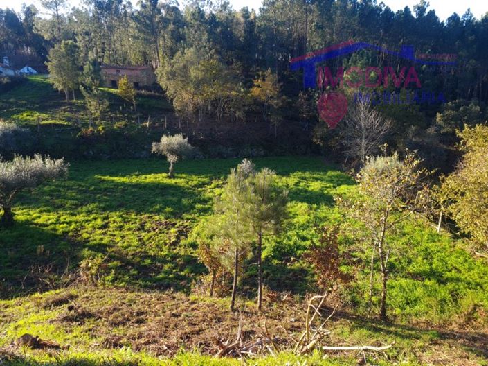 Image No.18-Plot for sale