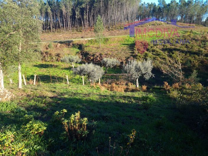 Image No.25-Plot for sale