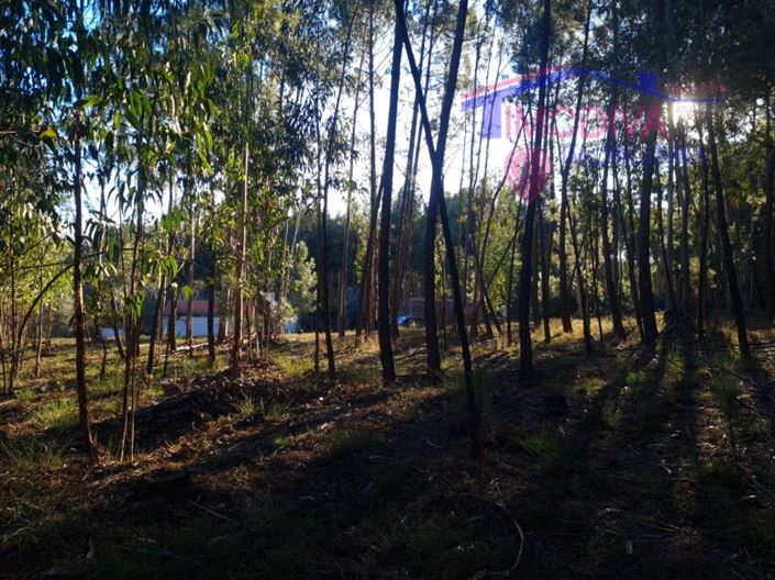 Image No.28-Plot for sale