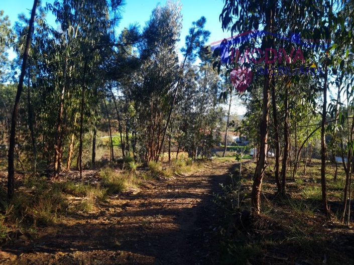 Image No.27-Plot for sale