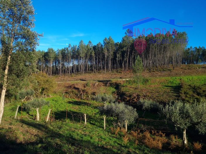 Image No.34-Plot for sale