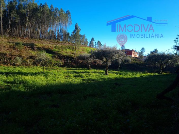 Image No.42-Plot for sale