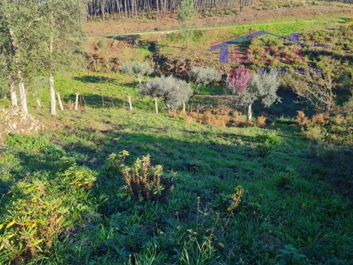 Image No.52-Plot for sale