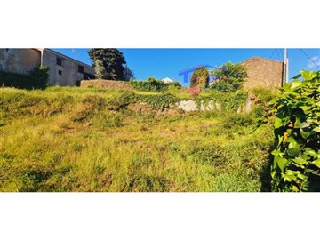 id2d5c5101-0000-0500-0000-000010b491a9