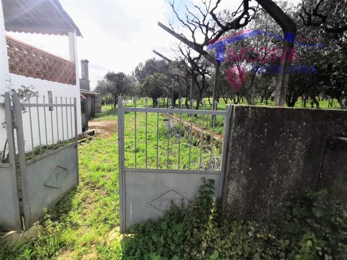 Image No.23-Maison de 2 chambres à vendre à Figueiró dos Vinhos
