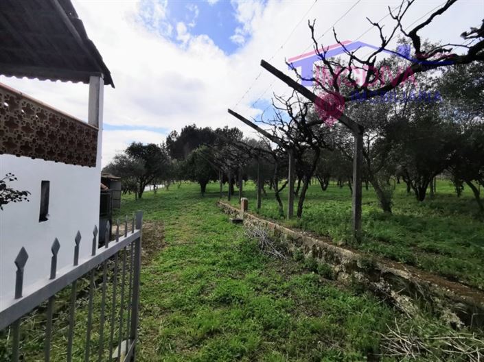Image No.25-Maison de 2 chambres à vendre à Figueiró dos Vinhos