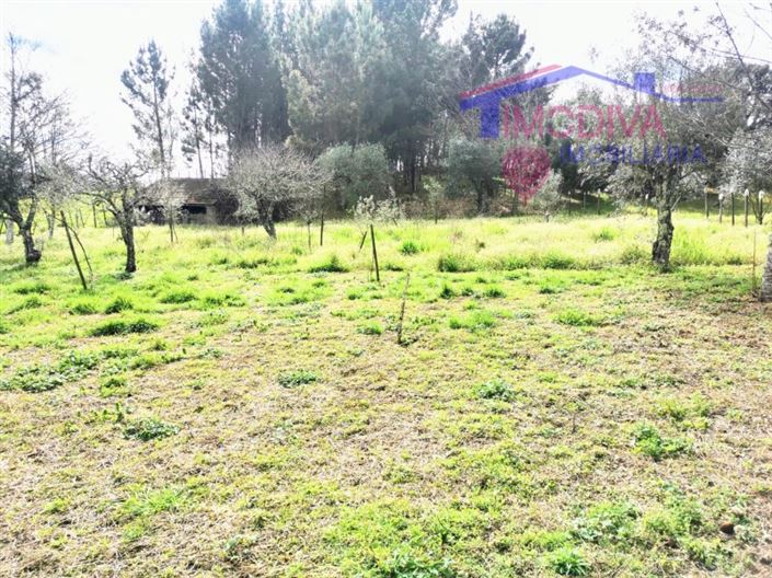 Image No.26-Maison de 2 chambres à vendre à Figueiró dos Vinhos