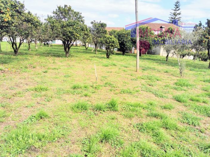 Image No.27-Maison de 2 chambres à vendre à Figueiró dos Vinhos
