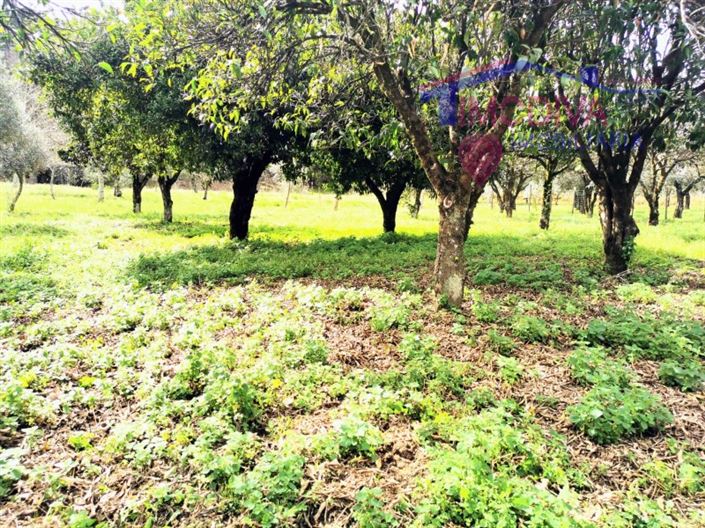 Image No.28-Maison de 2 chambres à vendre à Figueiró dos Vinhos