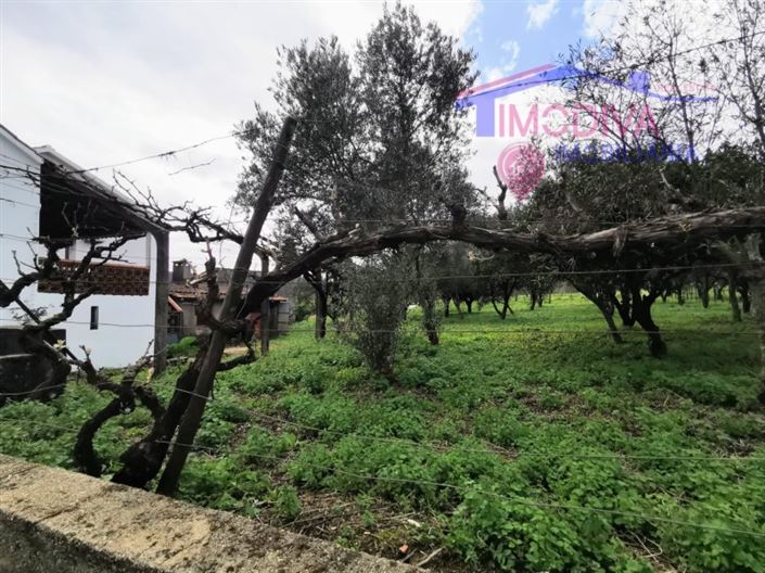 Image No.29-Maison de 2 chambres à vendre à Figueiró dos Vinhos