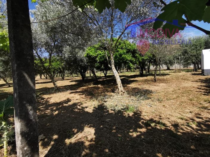Image No.30-Maison de 2 chambres à vendre à Figueiró dos Vinhos