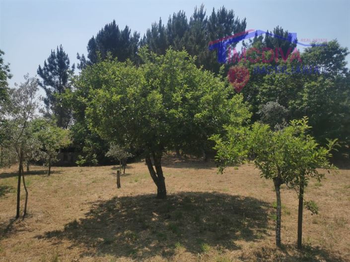 Image No.24-Maison de 2 chambres à vendre à Figueiró dos Vinhos