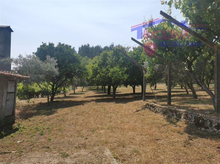 Image No.31-Maison de 2 chambres à vendre à Figueiró dos Vinhos