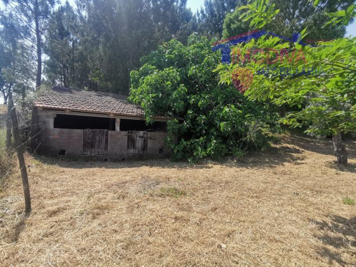 Image No.32-Maison de 2 chambres à vendre à Figueiró dos Vinhos