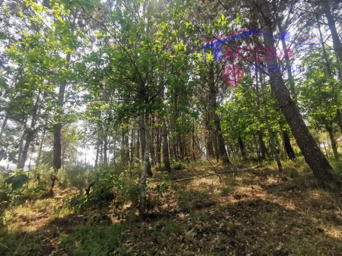 Image No.33-Maison de 2 chambres à vendre à Figueiró dos Vinhos