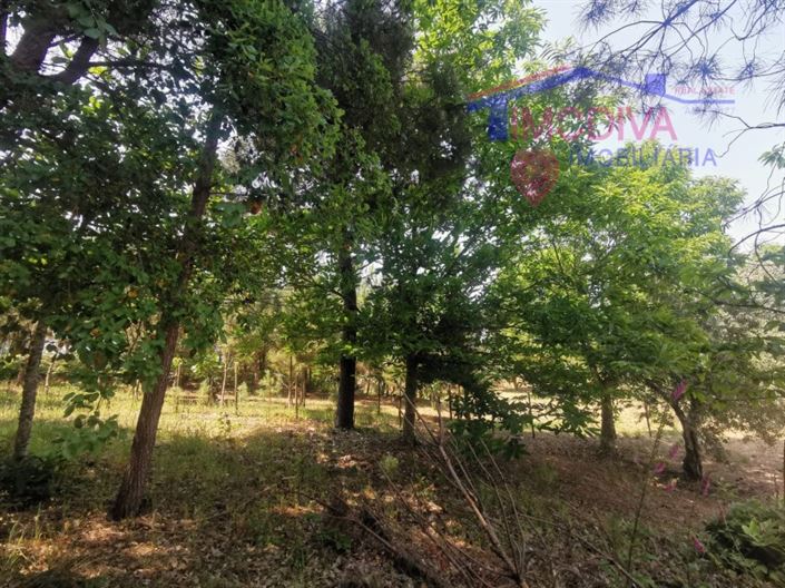 Image No.34-Maison de 2 chambres à vendre à Figueiró dos Vinhos